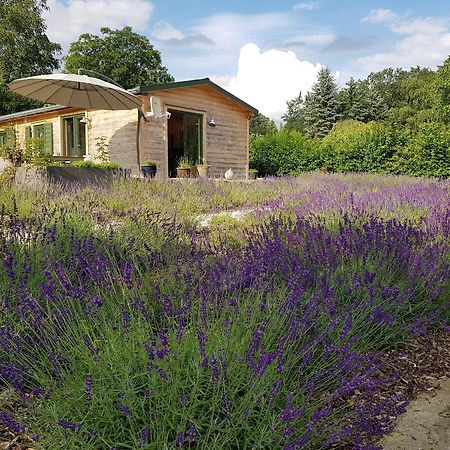 Chalet "Waldhauszeit" Am See Mucke ภายนอก รูปภาพ