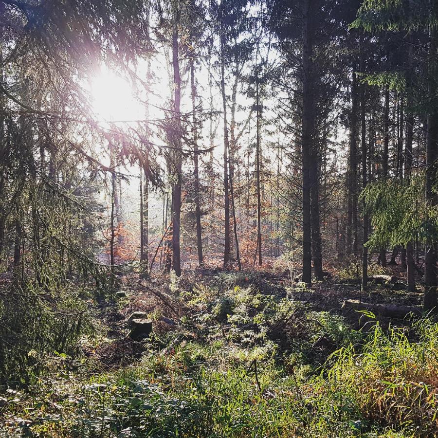 Chalet "Waldhauszeit" Am See Mucke ภายนอก รูปภาพ