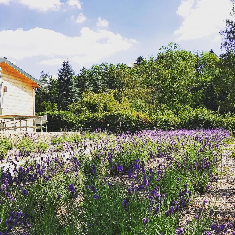 Chalet "Waldhauszeit" Am See Mucke ภายนอก รูปภาพ