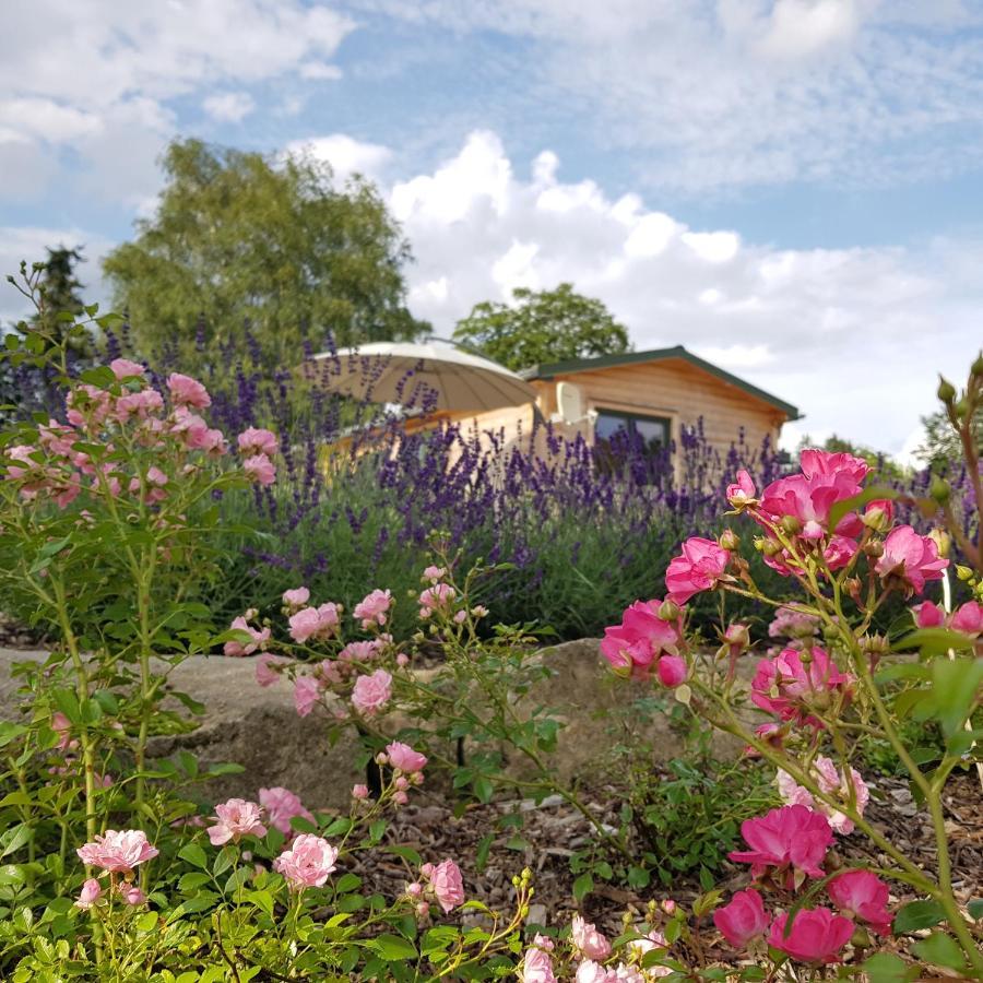 Chalet "Waldhauszeit" Am See Mucke ภายนอก รูปภาพ