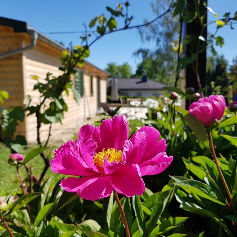 Chalet "Waldhauszeit" Am See Mucke ภายนอก รูปภาพ